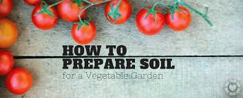 Maybe you would like to learn more about one of these? How To Prepare Soil For A Vegetable Garden Ecogreenlove