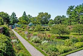 Maybe you would like to learn more about one of these? Old Westbury Gardens The Walled Garden Sky Blue Pink
