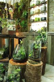 12 Kreative Indoor Garten Designs Fur Ihre Innenraume Indoor Gartendesign Designs Garten Gartendesign Indoor Innen Innengarten Garten Design Pflanzen