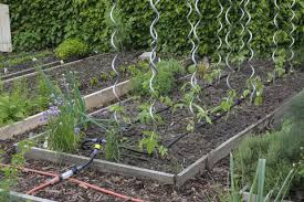 Jetzt kannst du das bewässerungssystem verwenden. Tropfbewasserung Installieren So Geht S Mein Schoner Garten