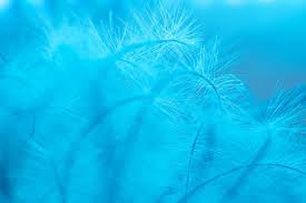 Hd wallpapers and background images. 30 Skyblue Background Pictures