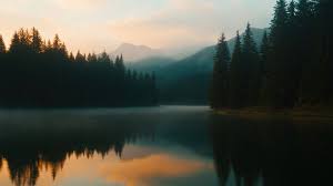 1500+ Best Free Images for 2025 | picjumbo