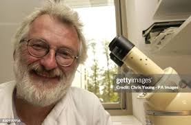 249 Robert Brenner Stock Photos, High-Res Pictures, and Images