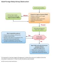 Image result for Ventricular Fibrillation Management in the Adult