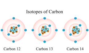 It is based on the decay rate of the radioactive carbon isotope 14 c, a form of carbon taken in by all living organisms while they are alive. Using Carbon 14 Dating