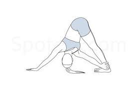 Revolved Downward Facing Dog Pose Parivrtta Adho Mukha Svanasana Dog Poses Downward Facing Dog Yoga Poses