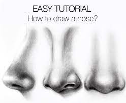 Anime is one of the most popular and beautiful forms of visual art. Easy Tutorial How To Draw A Nose Silvie Mahdal The Art Of Pencil