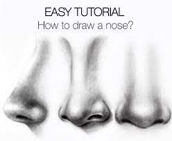 Learn how to create a variety of nose shapes using this method!requested by: Easy Tutorial How To Draw A Nose Silvie Mahdal The Art Of Pencil