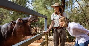 Taronga western plains zoo, formerly known as (and still commonly referred to as) western plains zoo and commonly known as dubbo zoo, is a large zoo near dubbo, new south wales, australia. What S On Taronga Conservation Society Australia