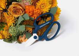 Score free shipping on your first urbanstems order when you sign up for the email list. Urbanstems Floral Shears Send Flower Bouquets Urbanstems Flower Delivery