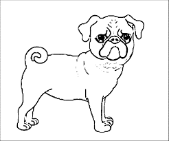 Give your pup a stylish flower crown before they walk in front of the judges. Curly Dog Coloring Pages For Adults Coloring Pages Blog Student