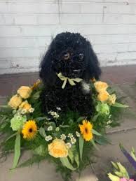 We did not find results for: Designer Funeral Funky Flowers West Drayton Greater London