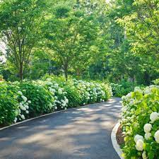 We did not find results for: 75 Beautiful Traditional Driveway Pictures Ideas July 2021 Houzz