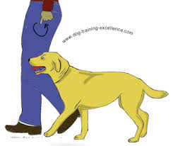 Dog Training Hand Signals A Picture Instructional Guide