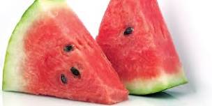 Suwannee Valley Watermelon Institute