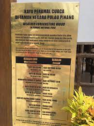Pemerintah telah menetapkan hari libur nasional dan cuti bersama 2021. Malaysian Weather Forecast Machine Album On Imgur