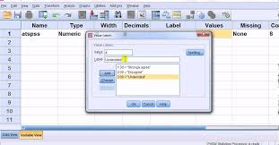 Spss For Newbies Tutorial Likert Scale Input Graphing Tutorial Thesis