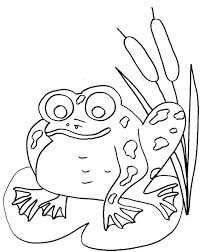 All you need is photoshop (or similar), a good photo, and a couple of minutes. Online Coloring Pages Frog Coloring Frog On A Lily Pad The Frog