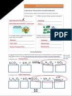 Photosynthesis and cellular respiration other contents: Photosynthesis And Cellular Respiration Biology Organisms