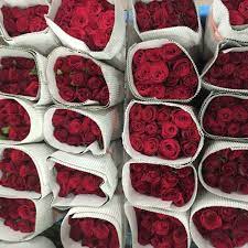 Home » company » weng hoa flower boutique sdn bhd. Weng Hoa Flower Boutique Sdn Bhd Chinatown Kuala Lumpur Federal Territory Of Kuala Lum