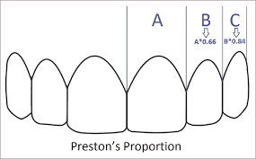 Evaluation Of Maxillary Anterior Teeth And Their Relation To