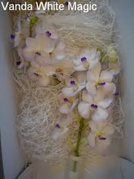 With floramondo and supplies direct from the grower. Calvert S Wholesale Flower Exchange 42 State Route 36 E North Middletown Nj Florists Mapquest