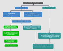 Health insurance claims process flow diagram. Process Flow Chart