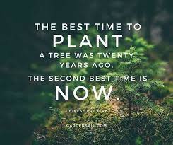 When you keep getting the wrong answers, try asking better questions. The Best Time To Plant A Tree Was Twenty Years Ago The Second Best Time Is Now Gardening Quotes Funny Gardening Memes Tree Planting Quotes