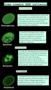 Image result for ANA Staining Pattern