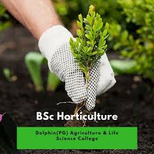 Bsc Horticulture Horticulture Education Horticulture Agriculture