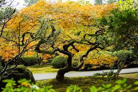 Take A Virtual Tour Through This Famous Japanese Garden In Oregon That Oregon Life