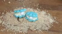 Clam Shell Macarons