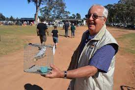 Plenty On Offer At Ballimore Auctions Daily Liberal Dubbo Nsw