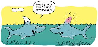 Please select sharks vs bulls other links or refresh (f5). Shark Jokes Jokes By Scout Life