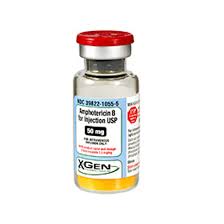 Image result for Amphotericin B