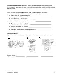 We will see what these body anatomical positions are what they are called. Solved Directional Terminology Fill In The Blanks With T Chegg Com