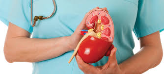 Kidney Specialist Hospital In Chennai Best Nephrologist In Chennai