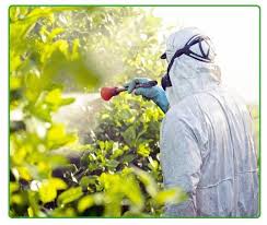 Residential pest control treatment