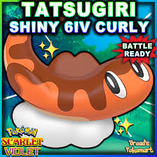 Curly TATSUGIRI Shiny 6IV  Pokemon Scarlet and Violet  - Etsy
