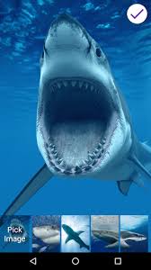 Best i lock screen for your phone. Download Great White Sharks Slide To Unlock Lock Screen Free For Android Great White Sharks Slide To Unlock Lock Screen Apk Download Steprimo Com