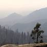 sequoia national park from www.nps.gov