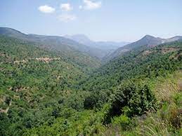 Kabylie, mountainous coastal region in northern algeria, between algiers and skikda. Petite Kabylie Wikipedia