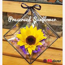 Choose well developed flowers, and pick them on a dry day. Preserved Sunflower Www Fgdavao Com Send Flowers To Davao Philippines Preservedsunflower Preservedflo How To Preserve Flowers Preserved Roses Special Gifts