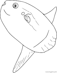 Check out our sunfish clipart selection for the very best in unique or custom, handmade pieces from our shops. Big Sunfish Coloring Page Coloringall