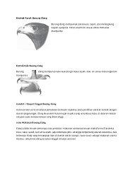 Elang merupakan hewan yang berasal dari suku suku accipitridae, terutama genus aquila. Bentuk Paruh Burung Elang Docx