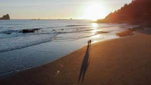 Where the wild beauty of the Oregon Coast meets the romance of endless  horizons—welcome to Crook Point. 🌊✨ Nestled between ancient forests and  the breathtaking Pacific, our private estate is more than