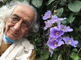 Rogelio Macías Sánchez. Vinos, Música y Neurología para profanos:  INTERMEZZO 3. DE LA FLORA SILVESTRE Y URBANA EN MI COLONIA