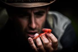 Brave Wilderness — Austin Trigg Photographer