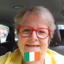 Is route 86 plowed from Elmira to Corning?