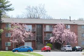 Maybe you would like to learn more about one of these? Apartments For Rent For Less Than 1 000 In Alexandria Va Forrent Com